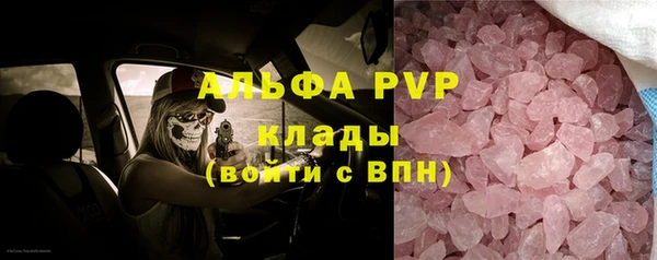 стаф Абинск