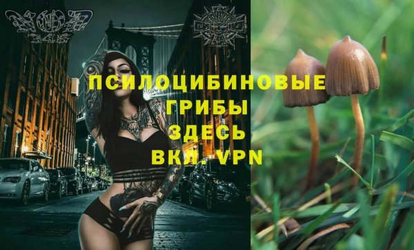 винт Алзамай