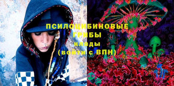 крисы Алексеевка