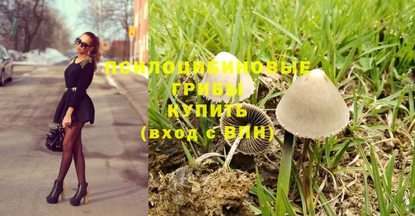 наркотики Алексин