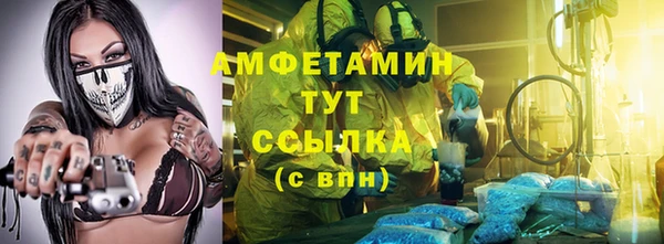 крисы Абаза
