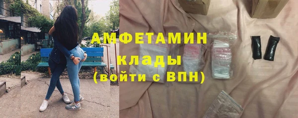 крисы Абаза